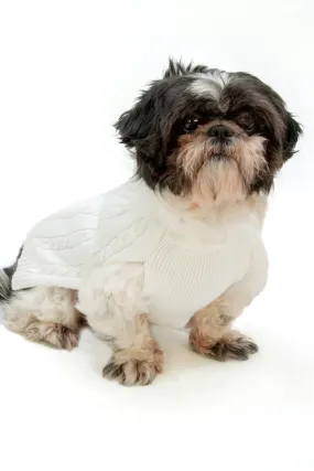 Julius Berger Off-White Matching Dog Sweater